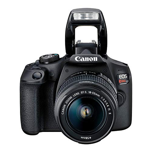 Canon EOS Rebel T7 DSLR Camera - 24.1MP CMOS Sensor, Wi-Fi/NFC Enabled, Black - Canon EOS Rebel T7 DSLR Camera - 24.1MP CMOS Sensor, Wi-Fi/NFC Enabled, Black - Travelking