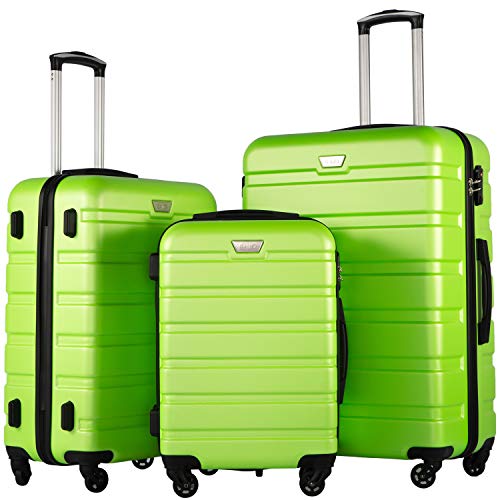 Affordable luggage sets online